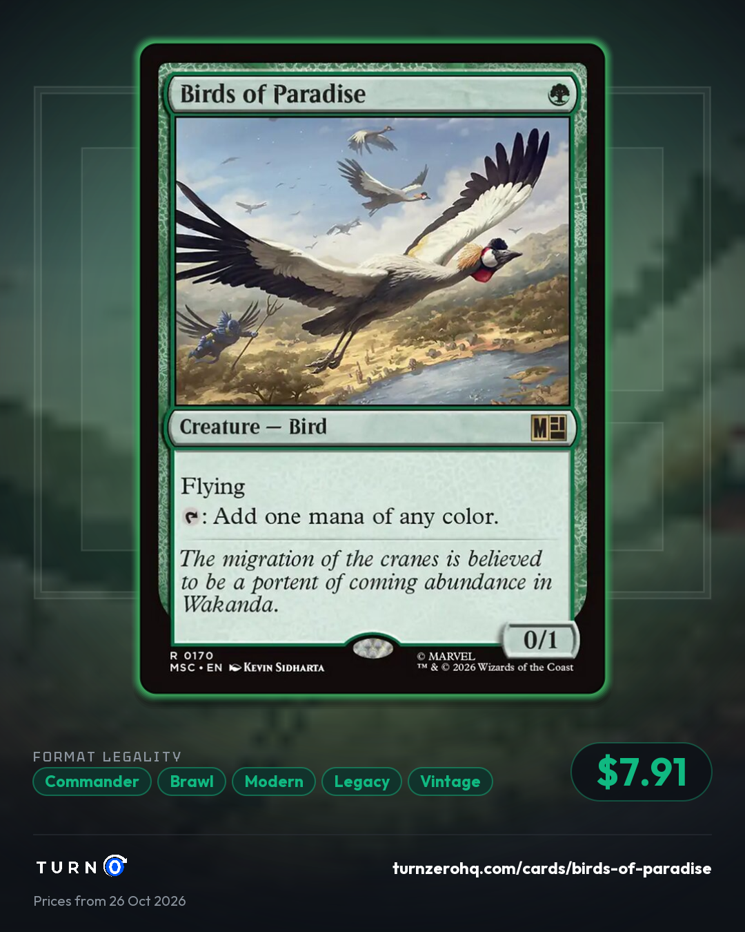 Shareable picture of Birds of Paradise