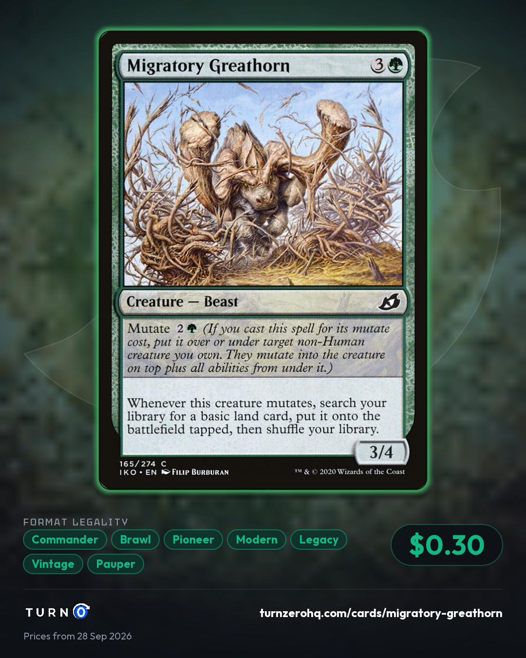 Shareable picture of Migratory Greathorn