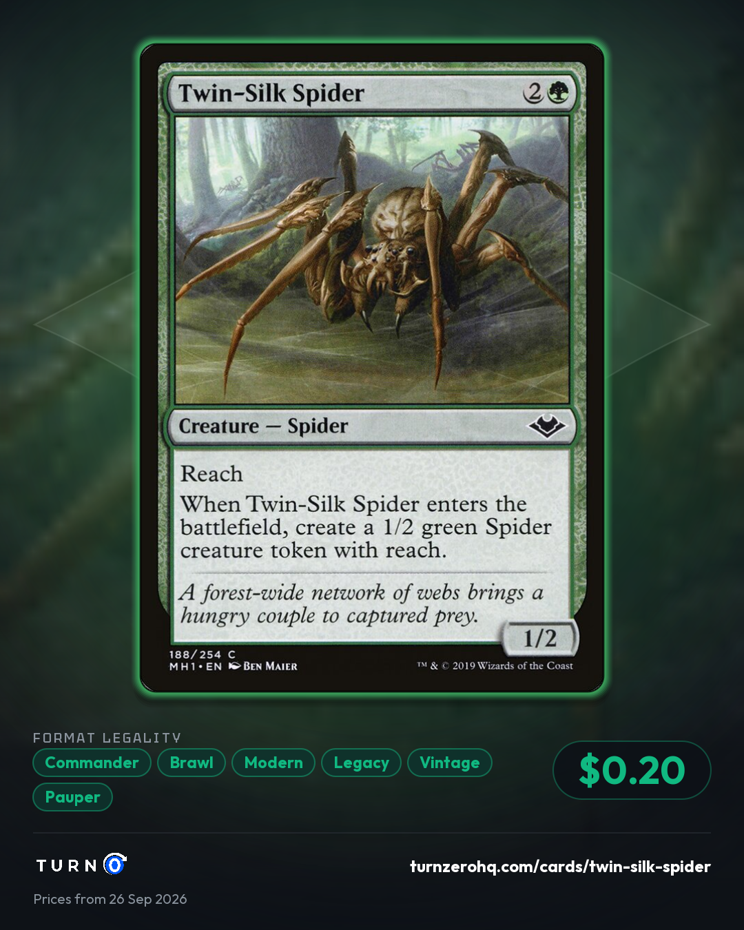 Shareable picture of Twin-Silk Spider