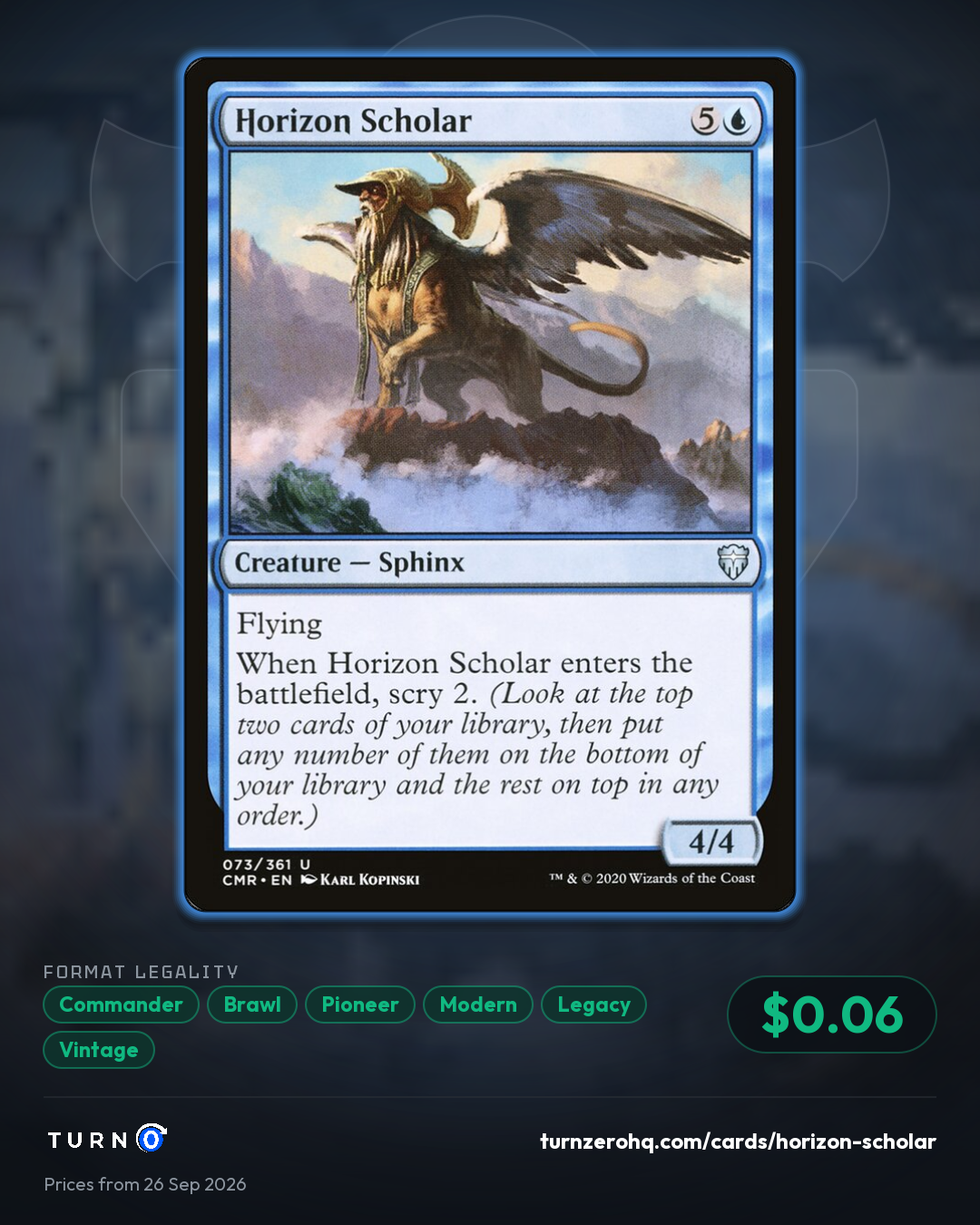 Shareable picture of Horizon Scholar