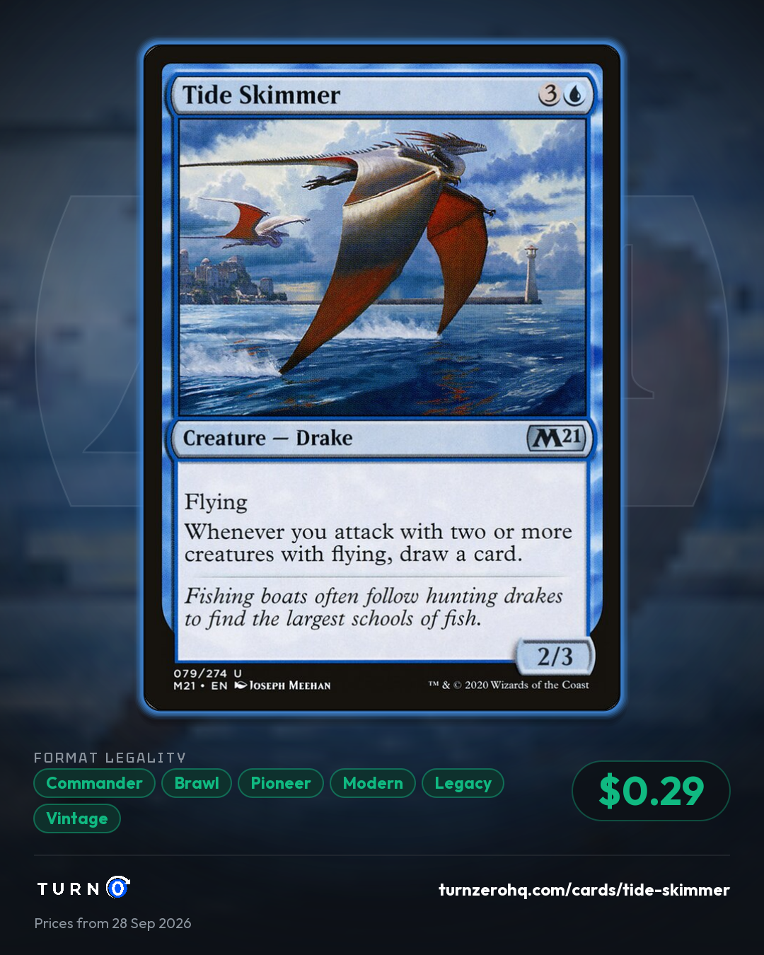 Shareable picture of Tide Skimmer